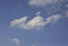 Young Cloud Dragon